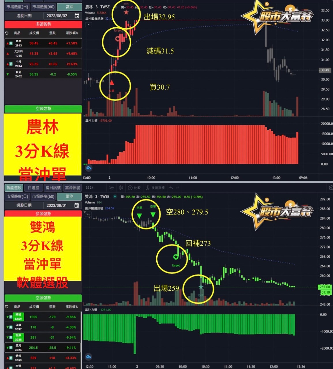 股票軟體當沖股-農林、雙鴻