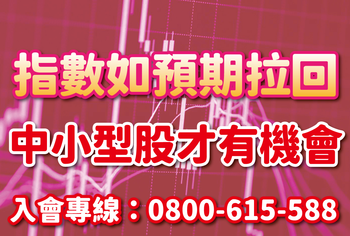 指數如預期拉回 中小型股才有機會